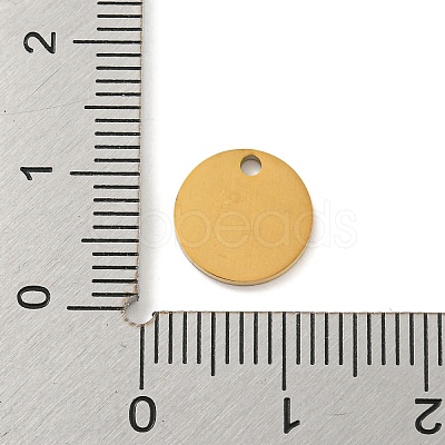 Ion Plating(IP) 304 Stainless Steel Pendants FIND-M017-02G-Z-1