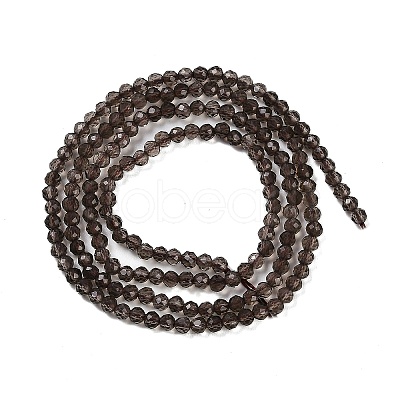 Natural Smoky Quartz Beads Strands G-P553-G05-01-1