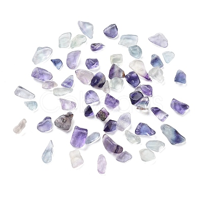 Natural Fluorite Beads G-L491-03-1