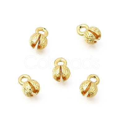 Brass Bead Tips KK-Z156-04G-02-1