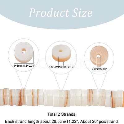 Nbeads 2 Strands Natural Freshwater Shell Beads Strands BSHE-NB0001-17-1