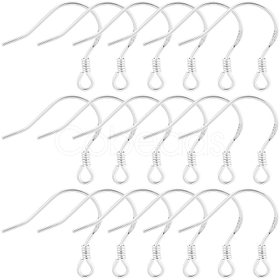 10Pairs 925 Sterling Silver Earring Hooks STER-BBC0008-93S-1
