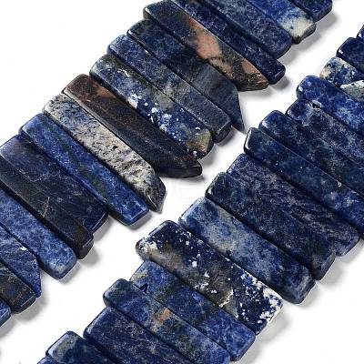 Natural Sodalite Beads Strands G-L551B-16-1