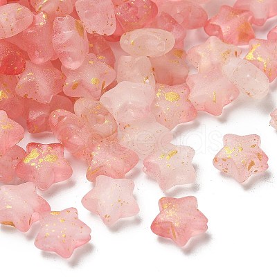 Frosted Acrylic Charms OACR-M023-04H-1