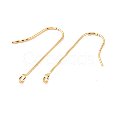 316 Surgical Stainless Steel Earring Hooks STAS-E027-01B-G-1