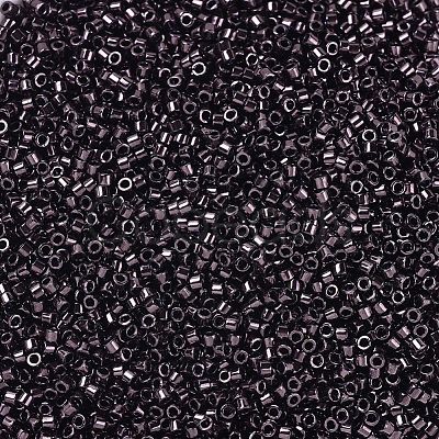 MIYUKI Delica Beads X-SEED-J020-DB1991-1