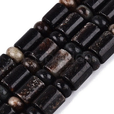 Natural Biotite Beads Strands G-Q616-09B-1