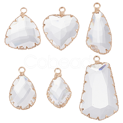 12Pcs 6 Style Clear Glass Pendants FIND-GO0003-63-1