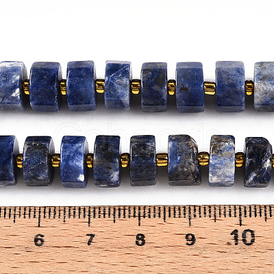 Natural Sodalite Beads Strands G-T140-26-1