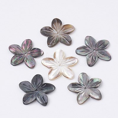 Natural Black Lip Shell Beads SHEL-S269-70-1