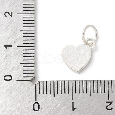 S925 Sterling Silver Pendant STER-H115-05B-S01-1