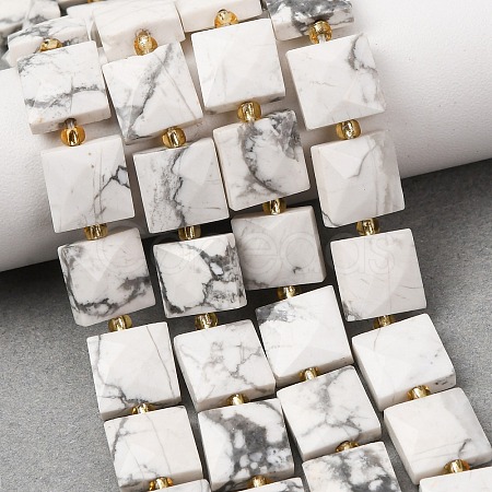 Natural Howlite Beads Strands G-F839-A35-01-1