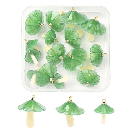 15Pcs 3 Styles Plastic Pendants KY-YW0002-28A-1
