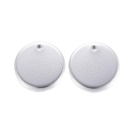 Tarnish Resistant 304 Stainless Steel Charms STAS-G122-23P-1