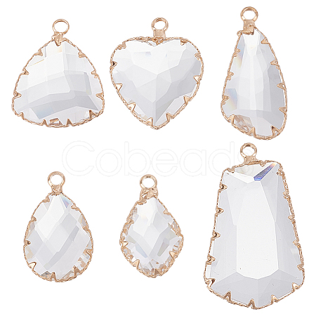 12Pcs 6 Style Clear Glass Pendants FIND-GO0003-63-1