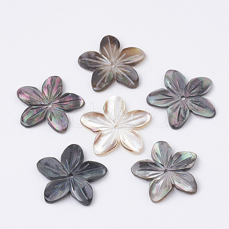 Natural Black Lip Shell Beads SHEL-S269-70-1