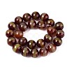 Tibetan Style dZi Agate Beads Strands G-N357-04A-01-3