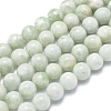Natural Myanmar Jade/Burmese Jade Beads Strands G-D0001-09-8mm-1
