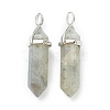 Natural Labradorite Pointed Pendants G-M378-01P-A29-2