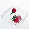Transparent Plastic Bead Containers CON-WH0020-04-1