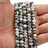 Natural Tree Agate Beads Strands G-Z111-A46-2