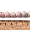 Natural Pink Zebra Jasper Beads Strands G-P231-01-10mm-9