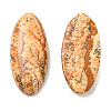 Natural Picture Jasper Cabochons G-E491-I-01A-2