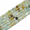 Nbeads 2 Strands Natural Flower Amazonite Beads Strands G-NB0004-59-7