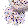 13/0 Glass Seed Beads SEED-YW0001-82B-3