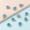 201 Stainless Steel Rhinestone Charms STAS-S068-12-3