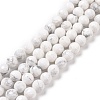 Natural Howlite Beads Strands G-E571-29B-1