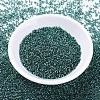 MIYUKI Delica Beads X-SEED-J020-DB0607-2