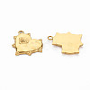 Ion Plating(IP) 304 Stainless Steel Pendants STAS-N097-088LG-NR-2