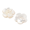 Natural White Shell Carved Beads SSHEL-I026-12F-07-2