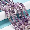 Natural Lepidolite/Purple Mica Stone Beads Strands X-G-P497-03A-06-4