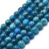 Natural Apatite Beads Strands G-K245-A03-05-1