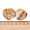 Natural Picture Jasper Healing Stones G-G020-01Z-3