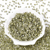 Transparent Inside Colours Glass Seed Beads SEED-T007-13O-1