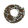 Transparent Glass Beads Strands LS-EGLA-A044-T4mm-MB16-3