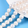 Natural Cultured Freshwater Pearl Beads Strands PEAR-N013-10D-1