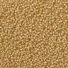 MIYUKI Round Rocailles Beads X-SEED-G008-RR0677-3