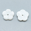 Freshwater Shell Beads SHEL-S275-015-2