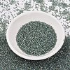 MIYUKI Delica Beads SEED-X0054-DB2379-2
