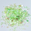 Plastic Candy Sequins/Paillette Chip DIY-I019-01H-2