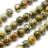 Natural Rhyolite Jasper Bead Strands G-G684-01-8mm-1