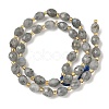 Natural Labradorite Beads Strands G-F809-A47-01-4