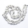 Natural Howlite Beads Strands G-O049-B-40-2