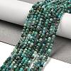 Natural Chrysocolla Beads Strands G-K373-B06-03-1
