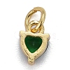 Brass Micro Pave Cubic Zirconia Charms KK-P192-08-G06-2