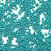 Baking Paint Glass Seed Beads X-SEED-S042-05B-57-3